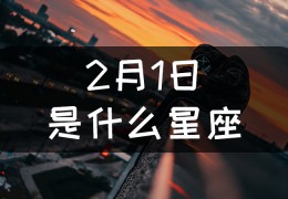 2月19日出生的双鱼座性格