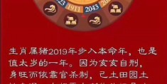 属马2024年有大喜缠身