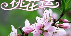 八字算桃花免费，八字算桃花