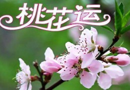 八字算桃花免费，八字算桃花