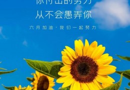 农历六月初六是啥日子，6月6是什么日子