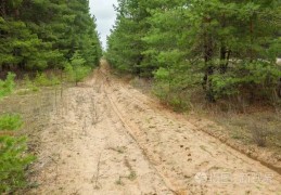 女人梦见道路崎岖不平