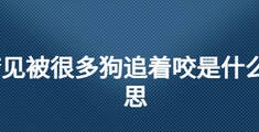 梦见狗追着自己跑是什么预兆，梦见被狗追