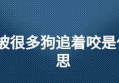 梦见狗追着自己跑是什么预兆，梦见被狗追