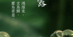 节气白露是什么意思