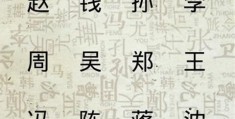 测名字免费测名字公司测名