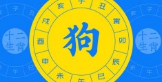 关于阴历6月初6是仙家的什么日子的信息