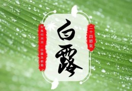 白露是几号几点