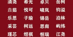 宝宝姓王取什么名字