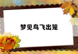 梦见会飞周公解梦，梦见会飞