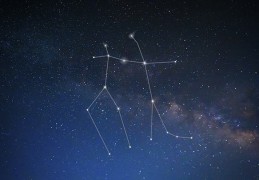 星座分析师，星座分析