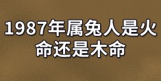 87年属什么的五行属什么，87年属什么的