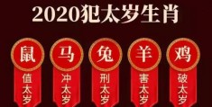 2022年是什么生肖年什么命几月好，2022年是什么生肖年