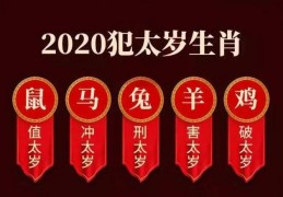 2022年是什么生肖年什么命几月好，2022年是什么生肖年