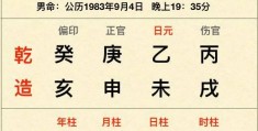 八字初学入门知识