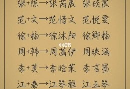 公司名字大全参考