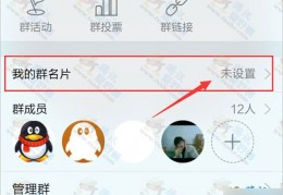 群名片在哪里