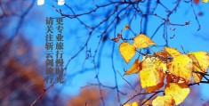 霜降节气的含义是什么如何养生