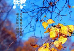 霜降节气的含义是什么如何养生