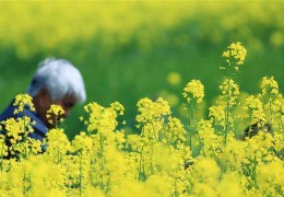 九月十四黄历吉日查询，九月十四