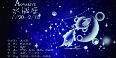 1994年12月21日什么星座，12月21日什么星座