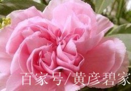 8月19日是什么日子好不好