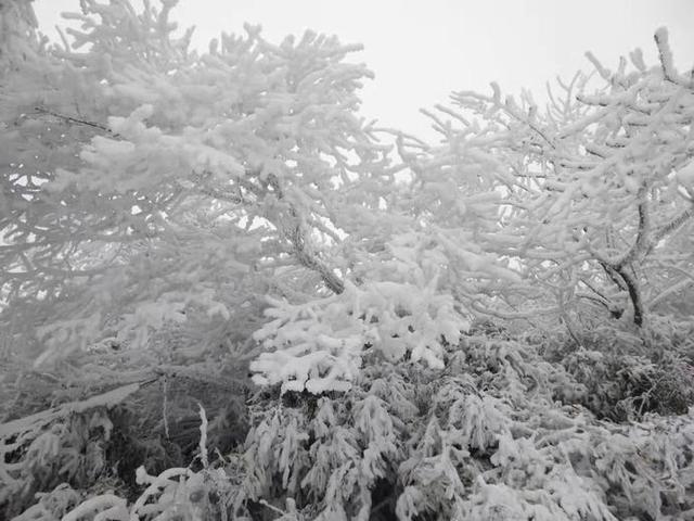 2月19日是观音菩萨生日