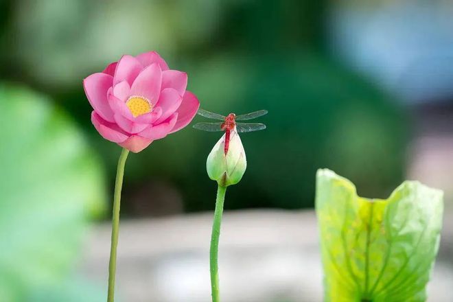 8月19日是什么日子好不好