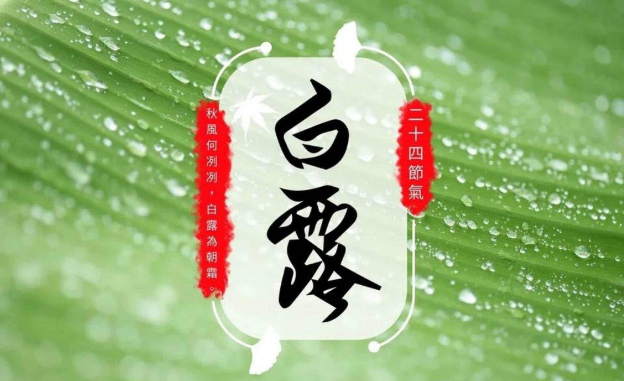 白露是几号几点