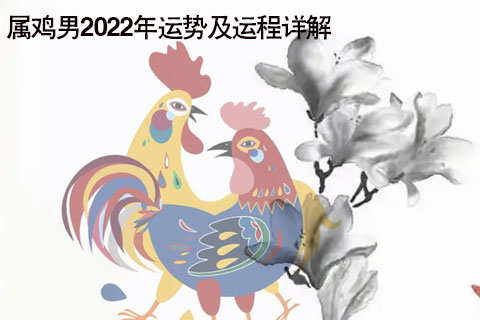 93年属鸡2024年的运势